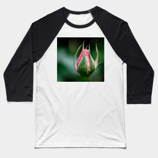 FLOWERS, NATURE’S Fashion Models Baseball T-Shirt